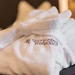 Hotel Sporthotel Wagrain 4*